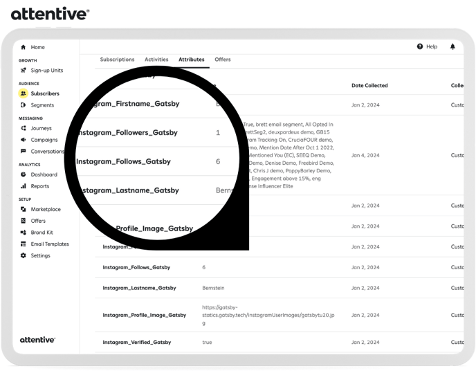 Attentive_Attributes_for_Instagram_properties