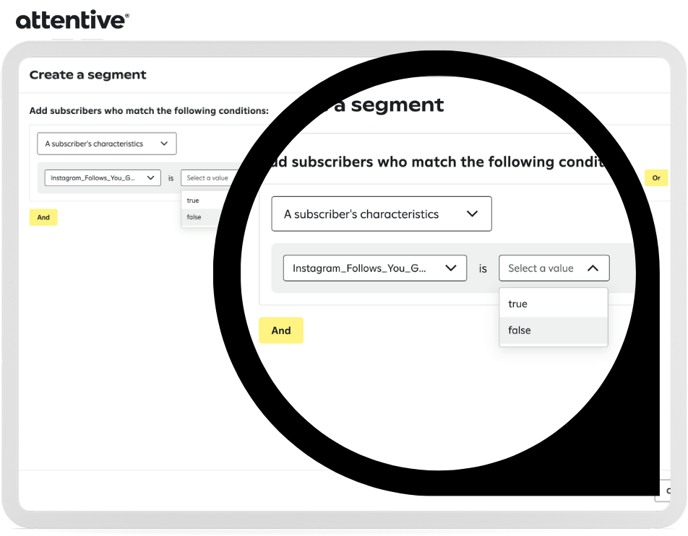 Attentive_Segment_For_Instagram_Followers