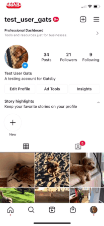 Instagram Story Tracking_Gatsby