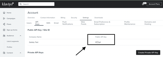 Klaviyo public API key location